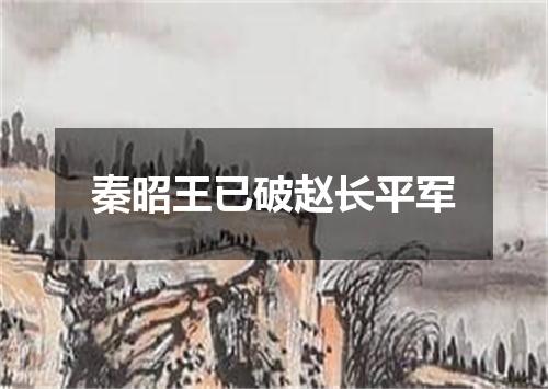 秦昭王已破赵长平军