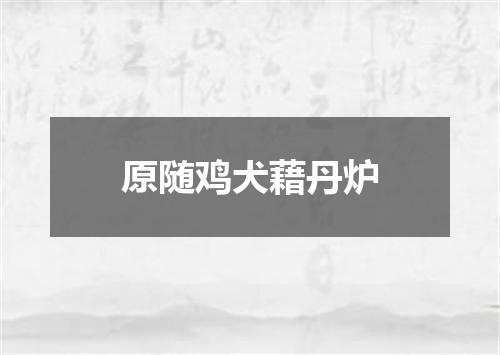 原随鸡犬藉丹炉
