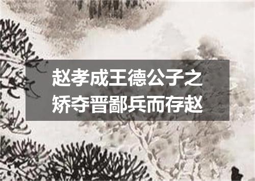 赵孝成王德公子之矫夺晋鄙兵而存赵