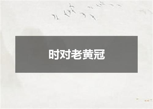 时对老黄冠