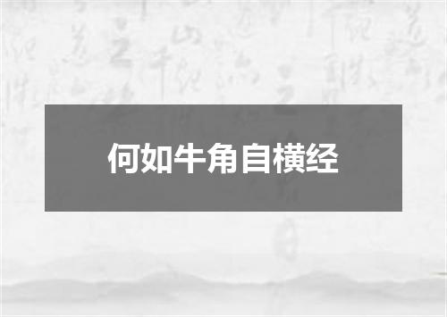 何如牛角自横经
