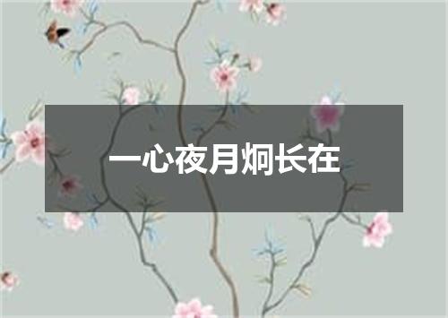 一心夜月炯长在