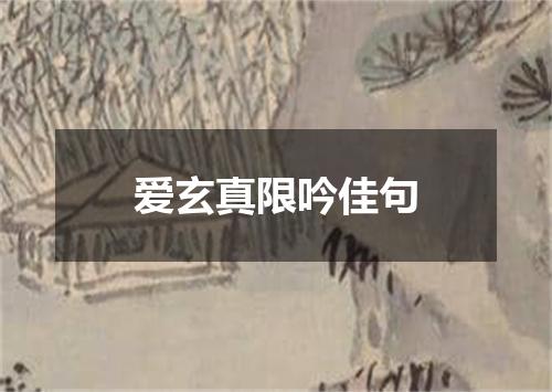 爱玄真限吟佳句