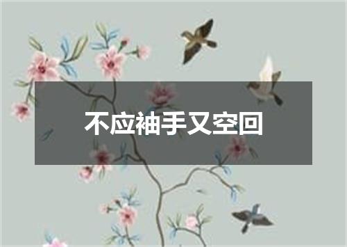 不应袖手又空回