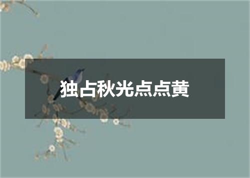 独占秋光点点黄