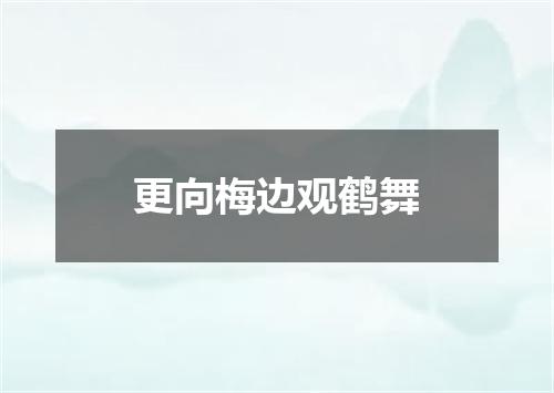 更向梅边观鹤舞