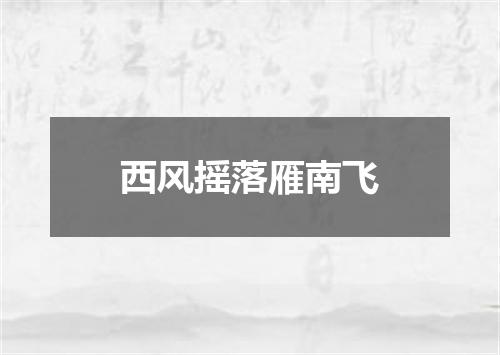 西风摇落雁南飞