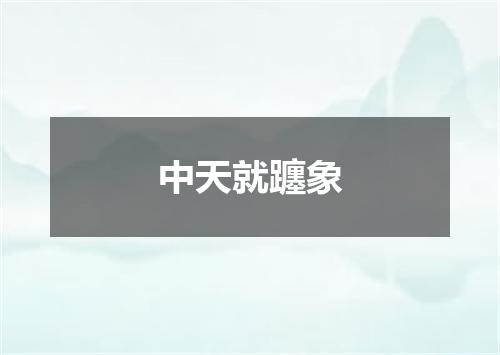中天就躔象