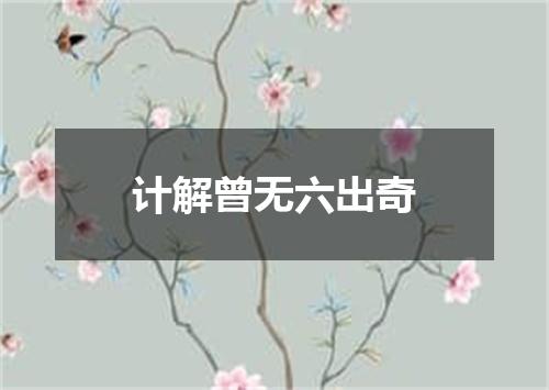 计解曾无六出奇