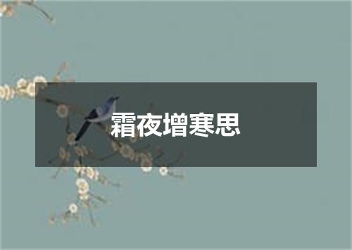 霜夜增寒思