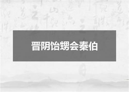 晋阴饴甥会秦伯