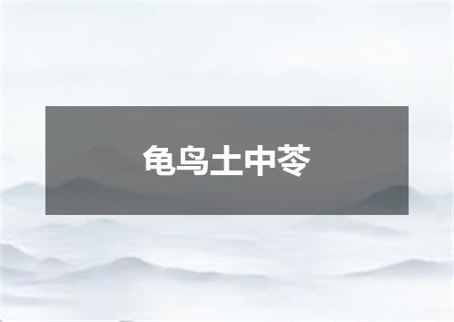 龟鸟土中苓