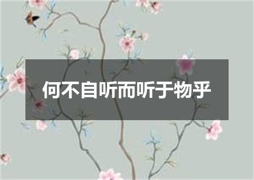 何不自听而听于物乎