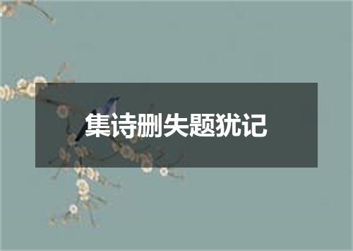 集诗删失题犹记