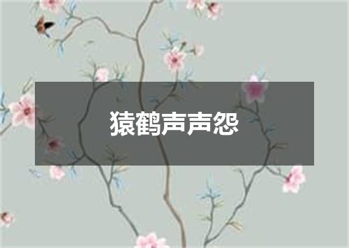 猿鹤声声怨