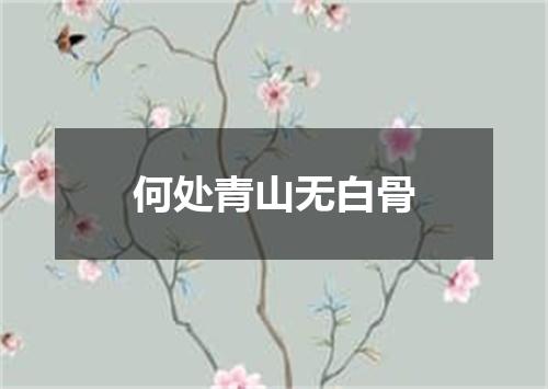 何处青山无白骨