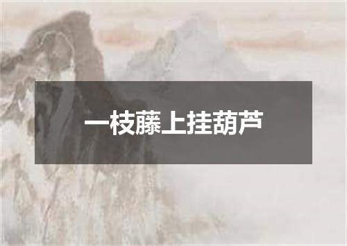 一枝藤上挂葫芦
