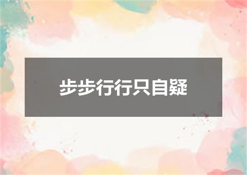 步步行行只自疑