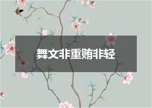 舞文非重贿非轻