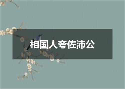 相国人夸佐沛公