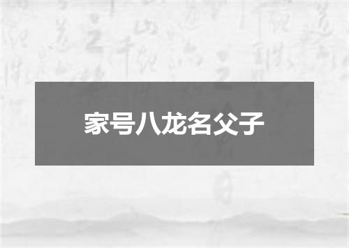 家号八龙名父子