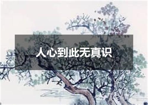 人心到此无真识