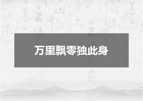 万里飘零独此身