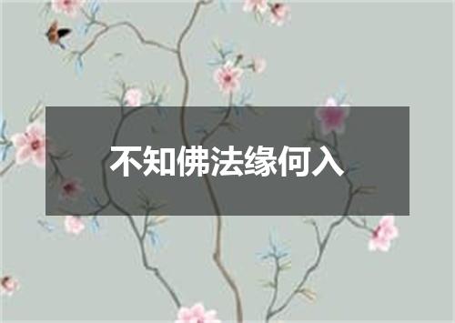 不知佛法缘何入