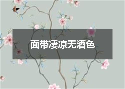 面带凄凉无酒色