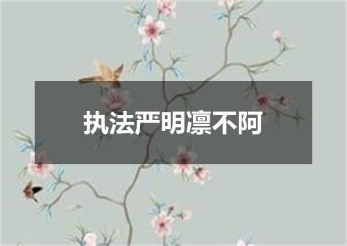 执法严明凛不阿