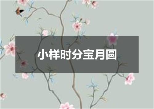 小样时分宝月圆