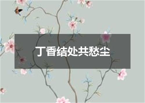 丁香结处共愁尘