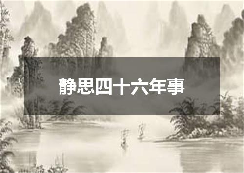 静思四十六年事