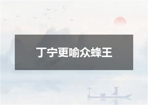 丁宁更喻众蜂王
