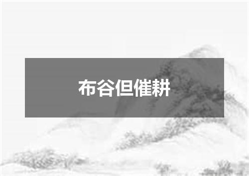 布谷但催耕