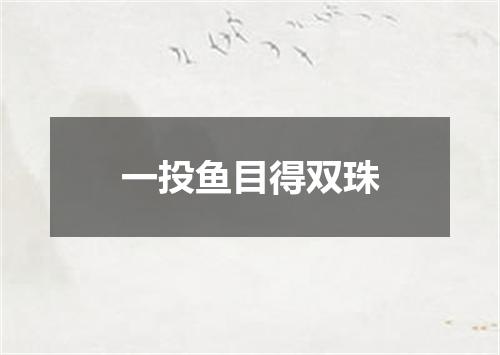 一投鱼目得双珠