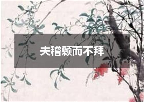 夫稽颡而不拜