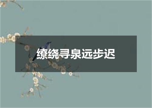 缭绕寻泉远步迟
