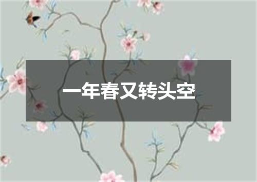 一年春又转头空