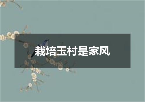 栽培玉村是家风