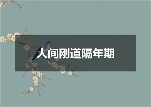 人间刚道隔年期