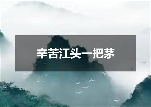 辛苦江头一把茅