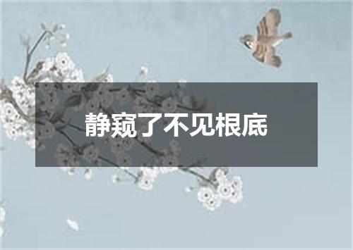 静窥了不见根底