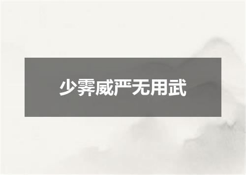 少霁威严无用武