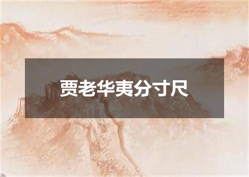 贾老华夷分寸尺