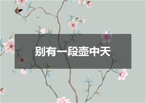 别有一段壶中天
