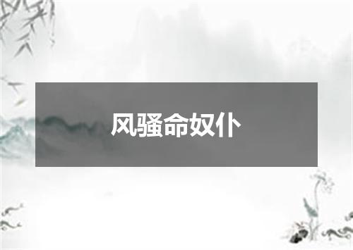 风骚命奴仆