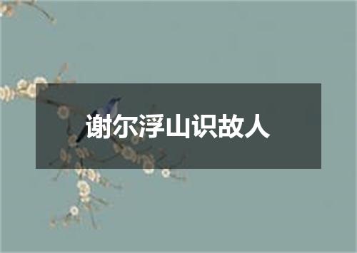 谢尔浮山识故人