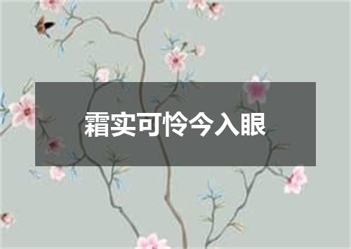 霜实可怜今入眼