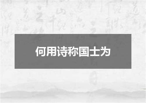 何用诗称国士为
